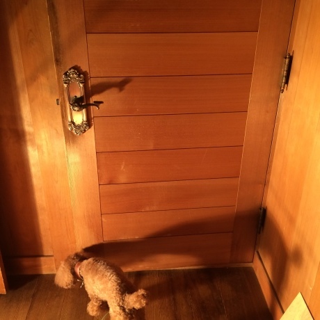 d0165772_19282178.jpeg