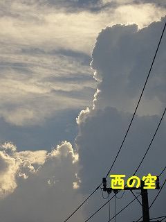 願い叶いますように・・_d0353074_17514034.jpg