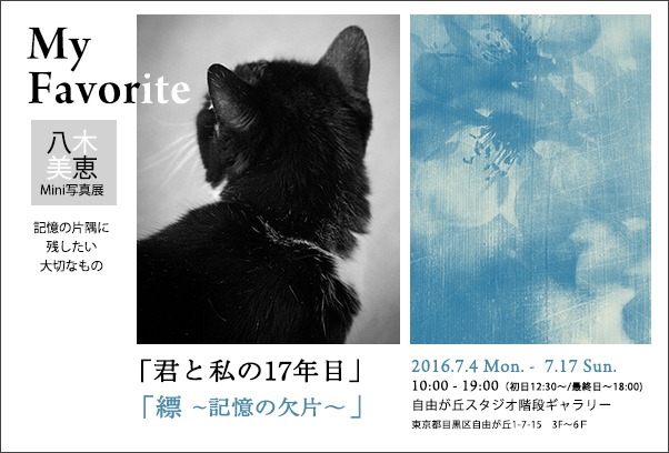 写真展はじまります。_a0161380_3353760.jpg