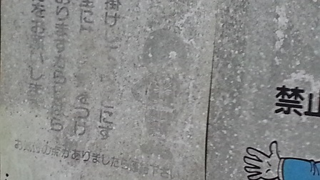 f0228680_11492419.jpg