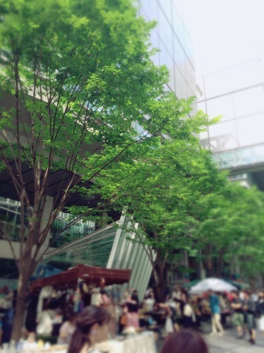 d0348182_12575030.jpeg