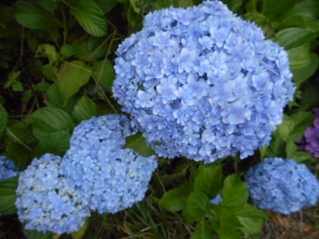 e0253482_94772.jpg