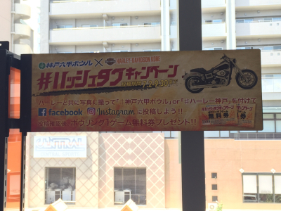 Wプロチャレンジ@神戸六甲☆_d0162684_00281195.jpg