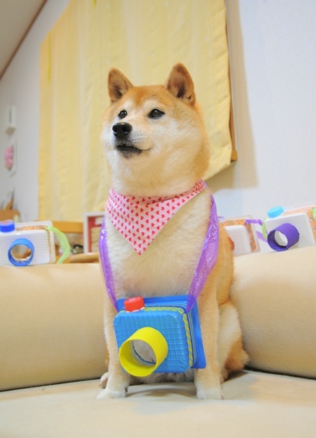 カメラ屋さん_a0126590_23251854.jpg