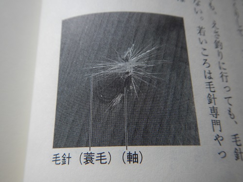 聞き書き集 石徹白の人々 石徹白川専用すず竹竿 聞き書き集 石徹白の人々 石徹白川専用すず竹竿