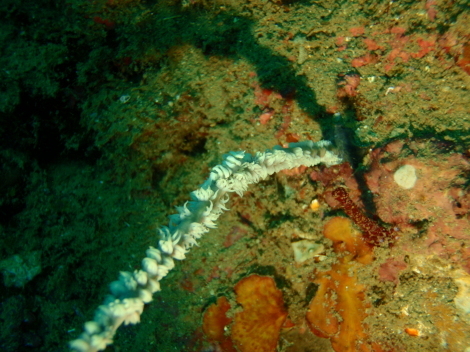 e0115199_15461882.jpg