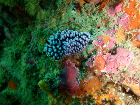 e0115199_15471404.jpg