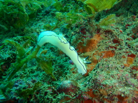 e0115199_15480011.jpg