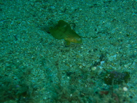 e0115199_15484852.jpg