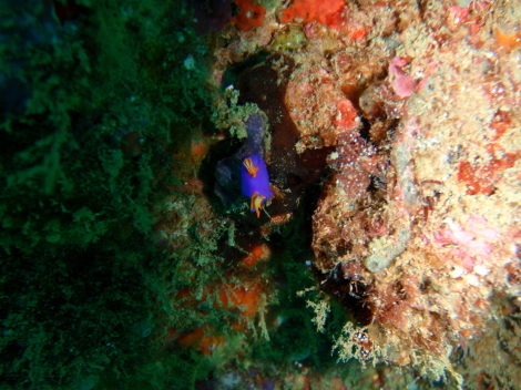 e0115199_15491256.jpg