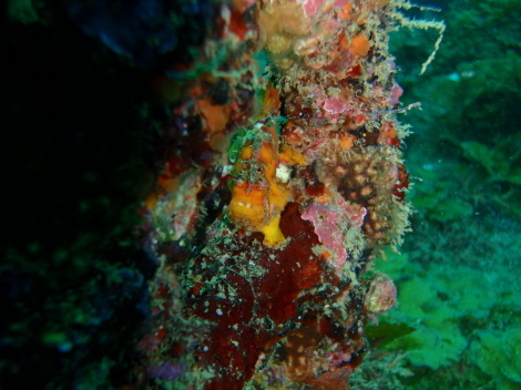 e0115199_15493975.jpg