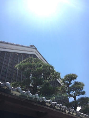 帰省中　お伊勢参り✨_f0188600_10194509.jpeg