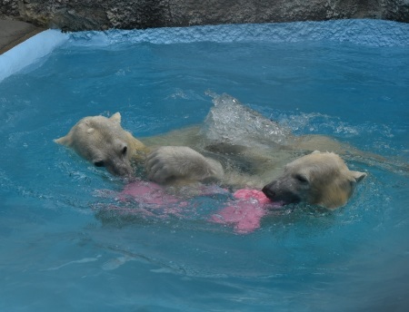 d0090801_21473609.jpg