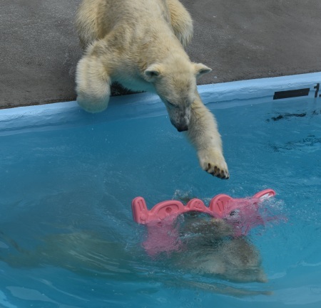d0090801_21491444.jpg