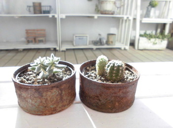 トマト缶をお急ぎで錆びさせる方法 Natural Gardening トマト缶をお急ぎで錆びさせる方法 Natural Gardening