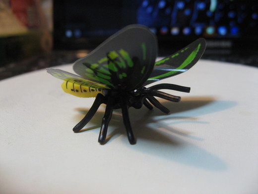 c0062511_212538100.jpg