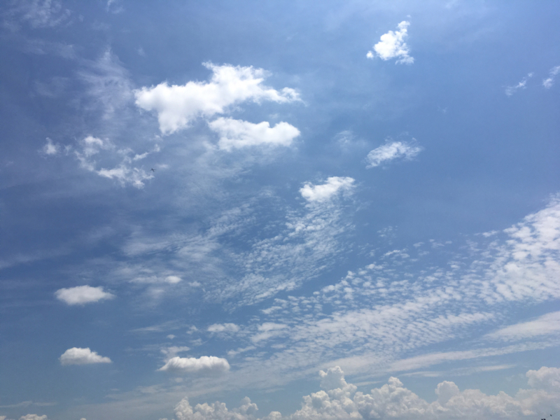 f0356611_11121350.jpg