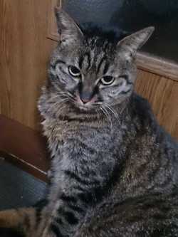 猫がやらかしてくれました!(岡)_f0354314_16255999.jpg