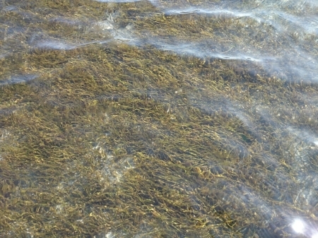 b0259124_06551020.jpg