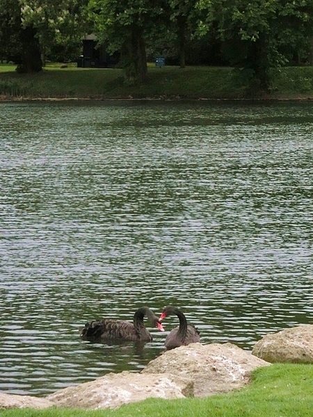 c0208524_05291949.jpg