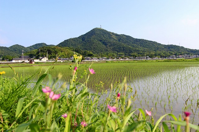 a0242438_19532524.jpg