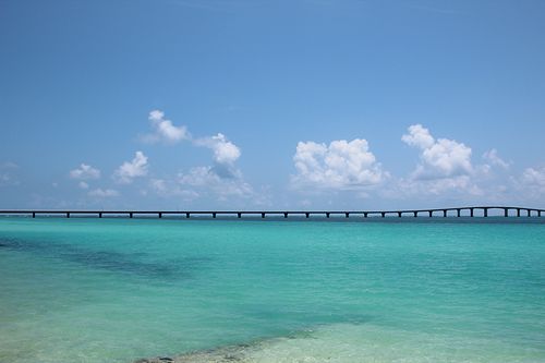 c0148238_8344554.jpg