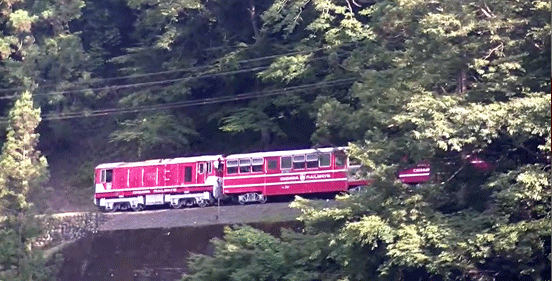 a0056140_21333259.gif