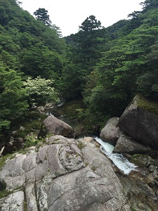 屋久島~白谷雲水峡_f0233340_14431462.jpg