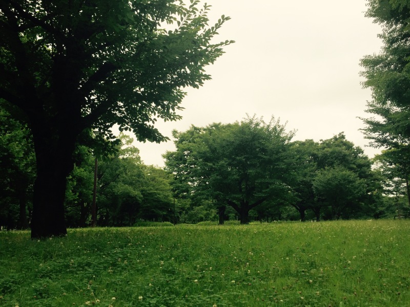 a0235452_14132856.jpeg