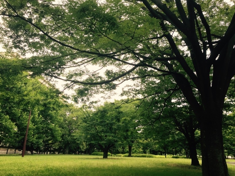 a0235452_14140283.jpeg