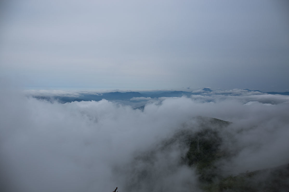 藻琴山 16夏 オオカメノキと雲海と あ した天気になぁ れ