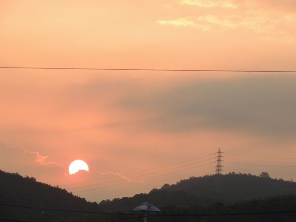哲学するイソヒヨ君_b0366871_22374612.jpg