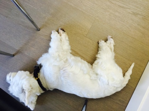 d0233672_05413696.jpeg