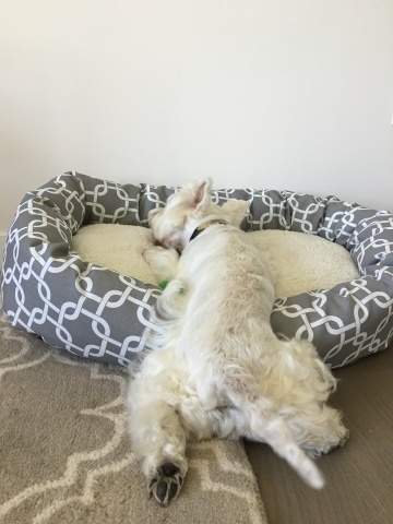 d0233672_05420819.jpeg