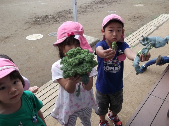 ブロッコリー_f0334882_17242577.jpg
