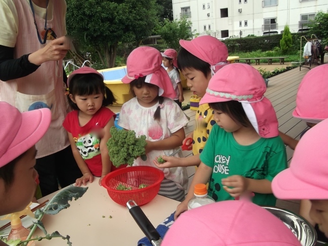 ブロッコリー_f0334882_17245330.jpg
