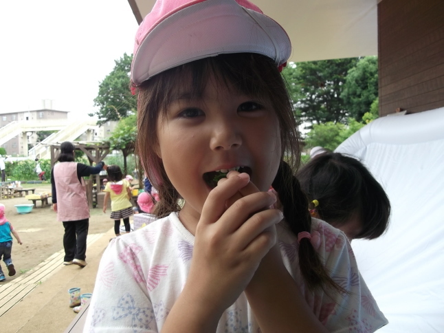 ブロッコリー_f0334882_17270388.jpg