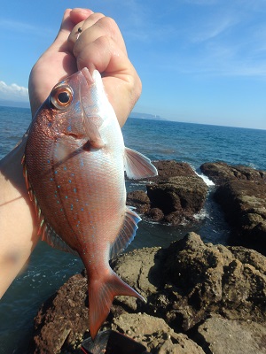 午後から釣行 (崎戸)_d0195183_23201692.jpg