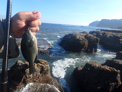 午後から釣行 (崎戸)_d0195183_23211281.jpg