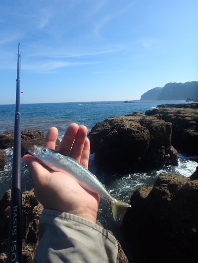 午後から釣行 (崎戸)_d0195183_23215163.jpg