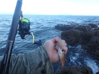 午後から釣行 (崎戸)_d0195183_2322411.jpg