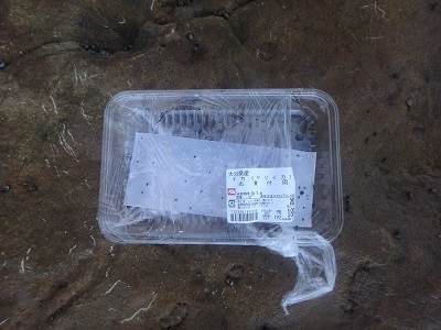 午後から釣行 (崎戸)_d0195183_2325181.jpg