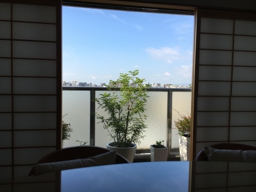 日曜の風景_f0347891_02445018.jpeg