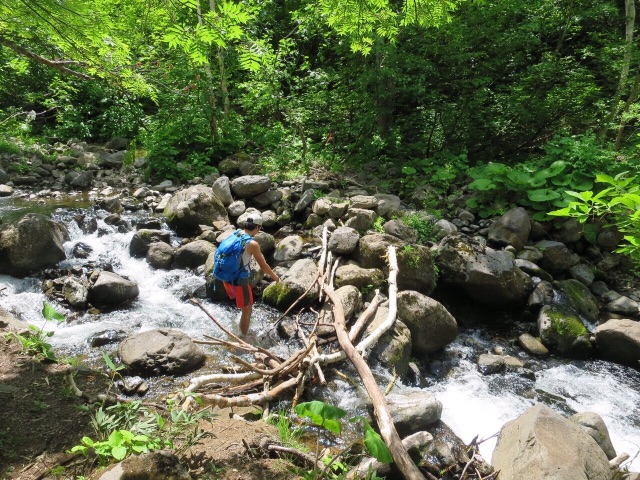 のんびりハイクin余市岳_d0198793_16242945.jpg