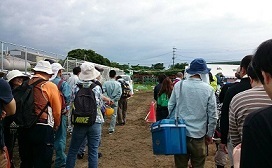 熊本地震災害ボランティアに参加して_d0262495_1142164.jpg