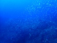 f0079996_16362046.jpg