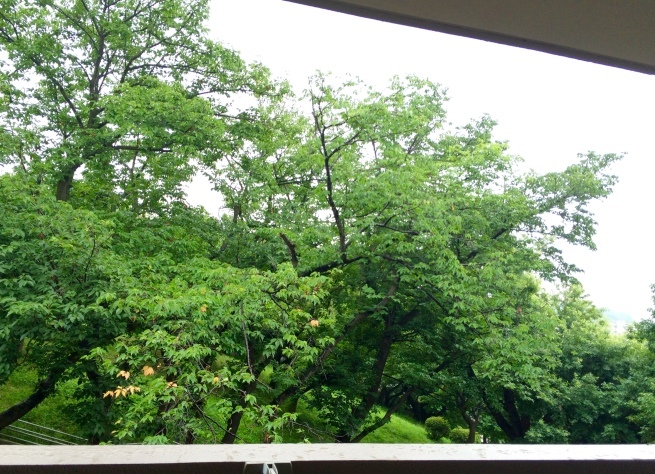 c0362401_08425822.jpg