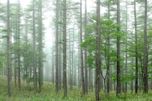 e0304001_22484041.jpg