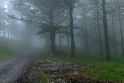 e0304001_22484976.jpg