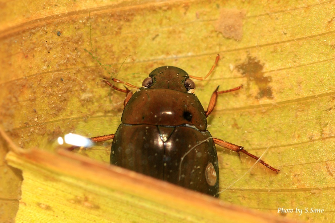 b0348205_00520854.jpg